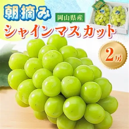 【先行受付】岡山県産 農家直送 朝摘みシャインマスカット2房セット (1.2～1.5kg)【1433060】