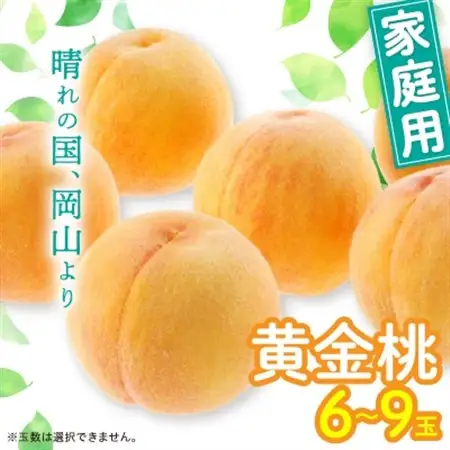 黄金桃(ご家庭用)6～9玉入り　【2026年8月末頃より発送予定】【配送不可地域：離島】【1460796】