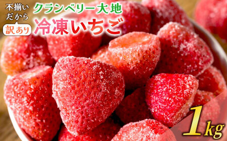 【訳あり】冷凍いちご　1kg