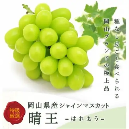 【先行受付】岡山県産 シャインマスカット『晴王』2房(1房480g以上) 化粧箱入り【配送不可地域：離島・北海道・沖縄県】【1499104】