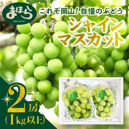 【2026年度発送分】早起き農家の直送便　お土産シャインマスカット2房【配送不可地域：離島・北海道・沖縄県】【1519537】