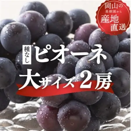 果樹園自慢のピオーネ! 甘さも濃厚 大サイズ2房入/計1.3kg～ ご家庭用(岡山県産)【配送不可地域：離島】【1535984】