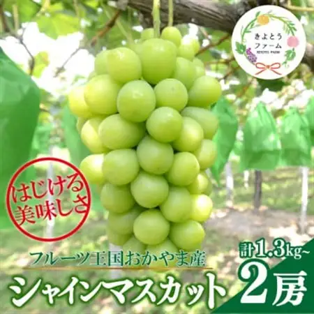 【数量限定】シャインマスカット 大サイズ 2房入/計1.3kg～(岡山県産) 贈答にもおすすめ!【配送不可地域：離島】【1548991】