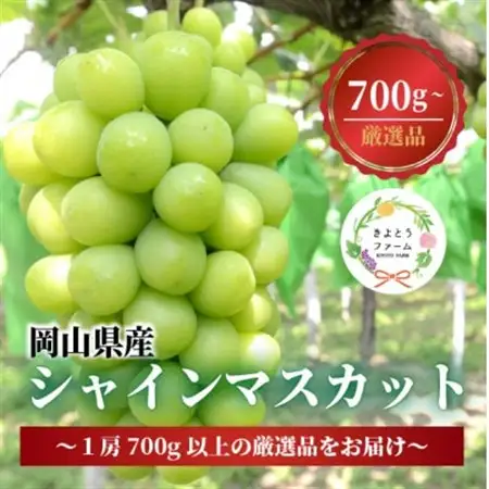 【厳選品】大粒シャインマスカット1房 700g～ (岡山県産) 果樹園厳選のシャインをお届け!【配送不可地域：離島】【1548995】