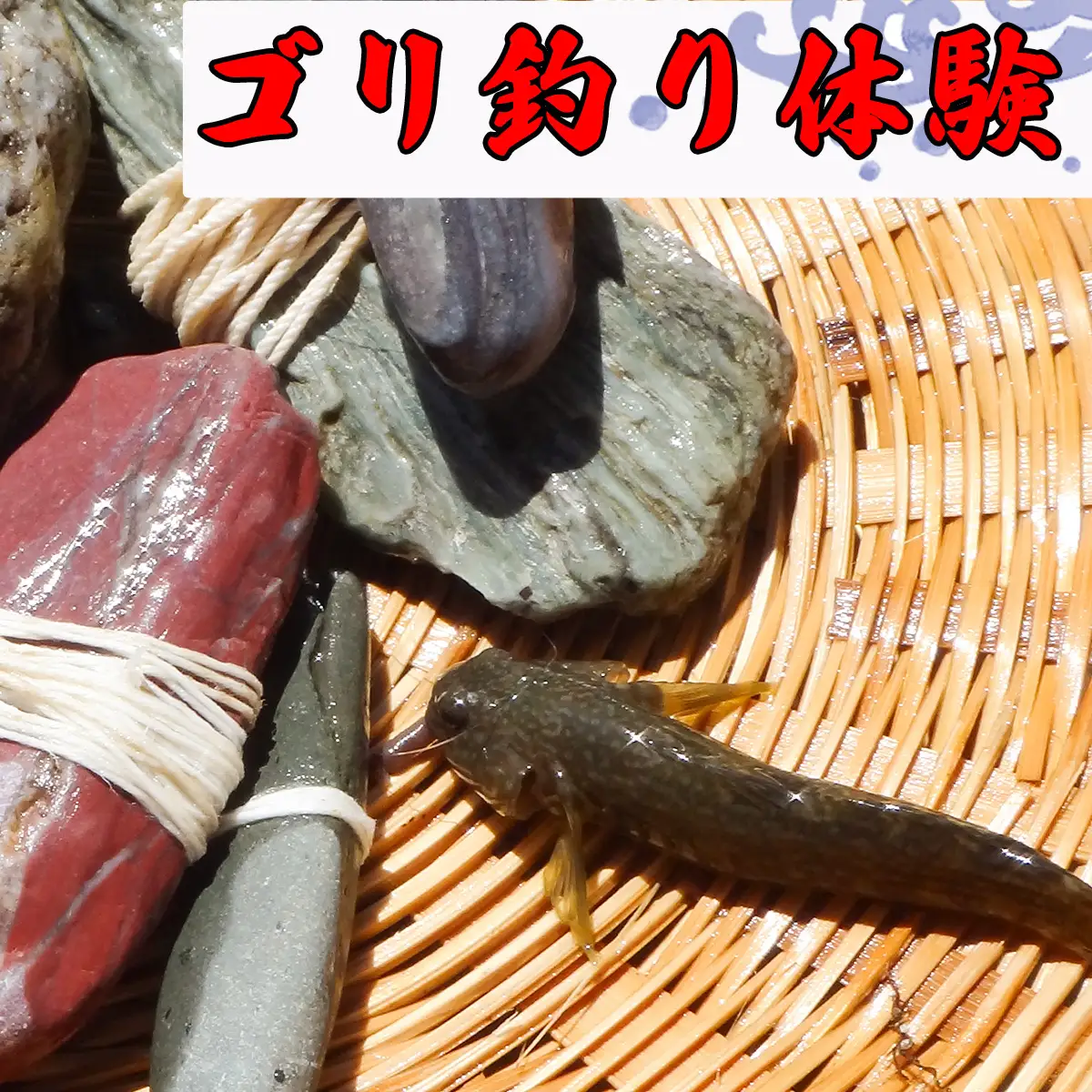 【高知・仁淀川】誰でも簡単、地元ガイドが教えてくれるゴリ釣り体験（2名様）