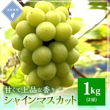 【先行予約 2026年発送】岡山県産　シャインマスカット　2房(合計約1kg)【配送不可地域：離島】【1562241】