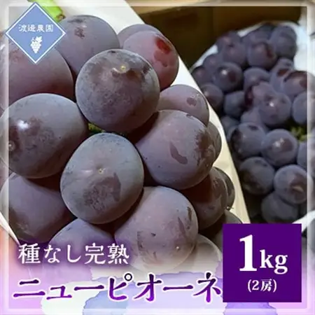 【先行予約 2026年発送】岡山県産　種なし完熟 ニューピオーネ　2房(約1kg)【配送不可地域：離島】【1562272】