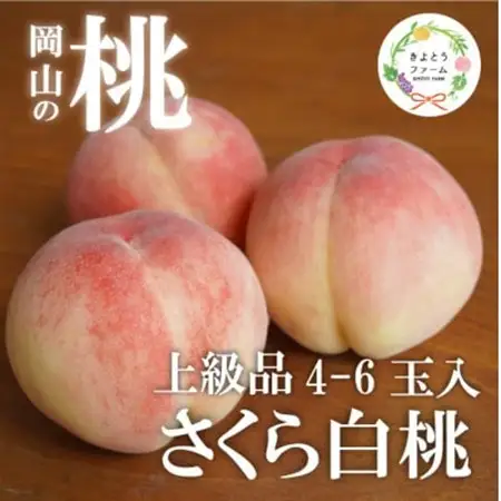 しっかりとした果肉が美味しい「さくら白桃」 上級品 4-6玉 (岡山県産)【配送不可地域：離島】【1571605】