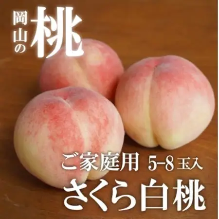 しっかりめの肉質と甘さが絶品「さくら白桃」 ご家庭用 5-8玉 (岡山県産)【配送不可地域：離島】【1571615】