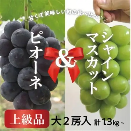 ピオーネ＆シャインマスカット 上級品 大2房 /計1.3kg~ (岡山県産) 人気の食べ比べセット!【配送不可地域：離島】【1571760】
