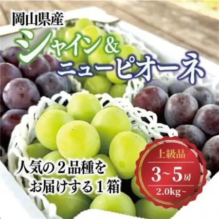 シャインマスカット＆ピオーネ 上級品 3-5房入/計2kg～ (岡山県産) 人気の食べ比べセット!【配送不可地域：離島】【1571762】