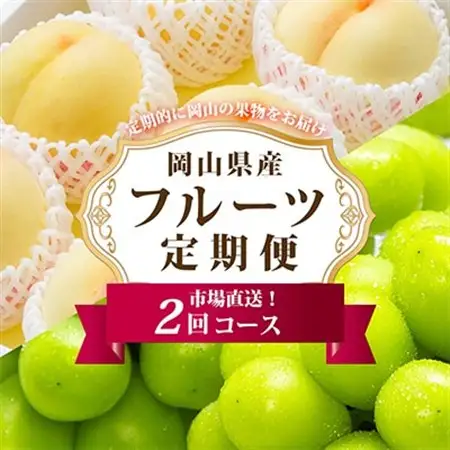 【発送月固定定期便】岡山県産 白桃・シャインマスカット(晴王)全2回【配送不可地域：離島・北海道・沖縄県】【4006681】