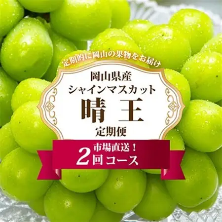 【発送月固定定期便】岡山県産 シャインマスカット『晴王』定期便全2回【配送不可地域：離島・北海道・沖縄県】【4007310】