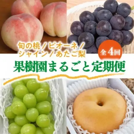 【発送月固定定期便】果樹園まるごと、桃と葡萄と梨が少しずつ届く!【お試し定期便】(岡山県産)全4回【配送不可地域：離島・北海道・沖縄県】【4061986】