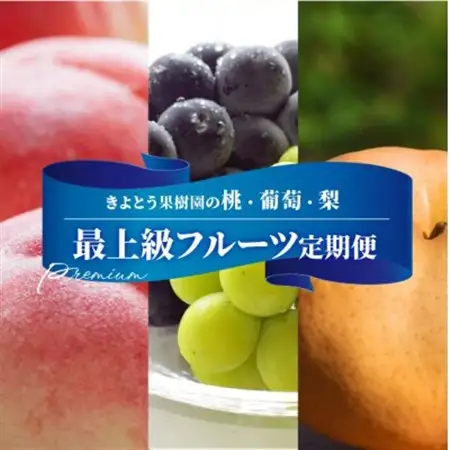 【発送月固定定期便】桃、ぶどう、梨の最上級品を旬の時期にお届け!果樹園の厳選セット(岡山県産)全3回【配送不可地域：離島・北海道・沖縄県】【4062767】