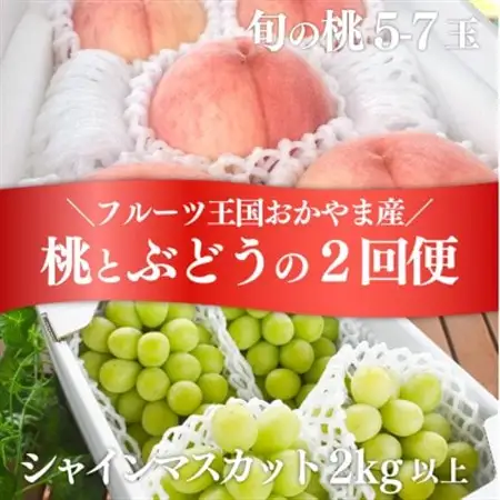 【発送月固定定期便】量も質も満足便! 桃とシャインマスカットどっちも食べたい! (岡山県産)全2回【配送不可地域：離島・北海道・沖縄県】【4063159】