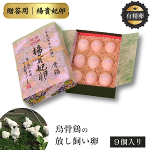 特選 有精卵 烏骨鶏のたまご 9個セット ［ 楊貴妃卵 ］烏骨鶏の卵 烏骨鶏の玉子 烏骨鶏 うこっけい 放し飼い卵 平飼い卵 贈答用 ギフト