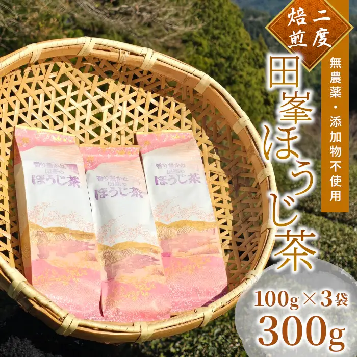香り豊かな田峯のほうじ茶 100g×3袋セット -031