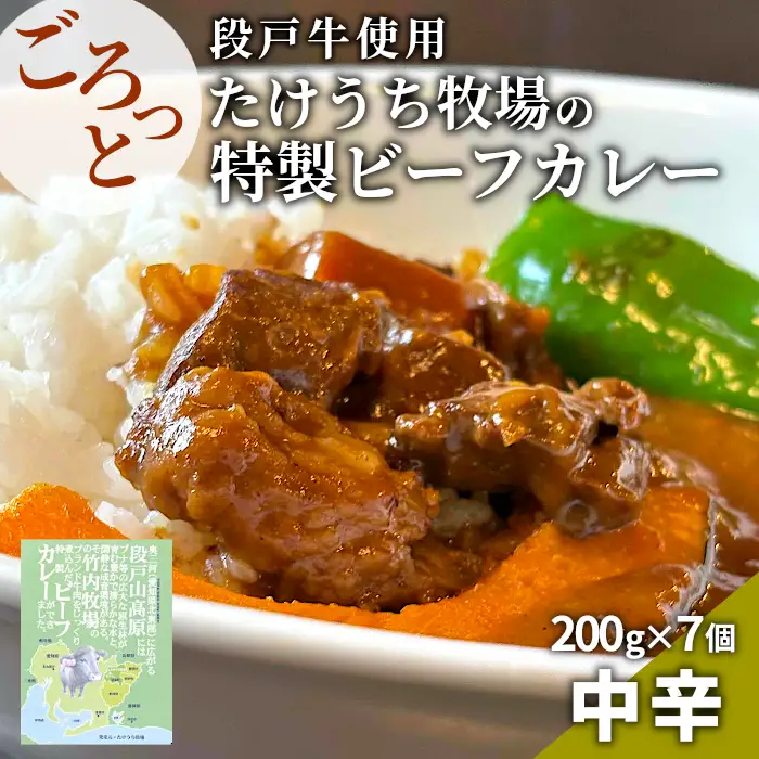 お肉ごろっと！たけうち牧場のビーフカレー カレー 牛肉カレー レトルトカレー ご当地カレー 段戸牛カレー 7個セット -024