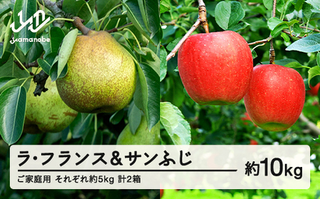 【先行予約】ラ・フランス サンふじ セット ご家庭用 約10kg 各約5kg 各1箱 計2箱 洋梨 りんご 2026年産 山形県産 ※沖縄・離島への配送不可 送料無料 tf-fslrx5
