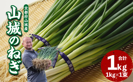 山城のねぎ 1kg 野菜 長ネギ 京野菜 001-12