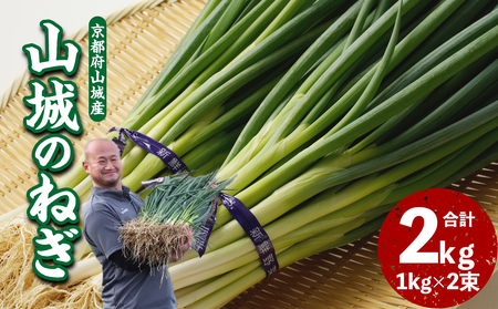 山城のねぎ 2kg 長ねぎ 京野菜 001-13 野菜
