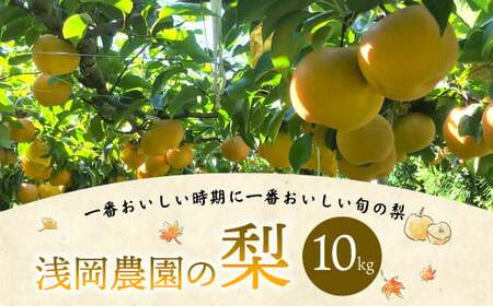  浅岡農園 の 梨 10kg 豊水 秋月 新高 甘太 果物 大分県産 【2026年9月上旬-11月上旬発送予定】
