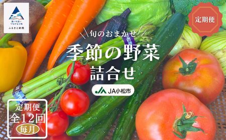 《野菜 定期便 12ヵ月 JA小松市（毎月）》季節 野菜 詰合せ 定期便 詰合せ  石川県 小松市 北陸 石川県 北陸