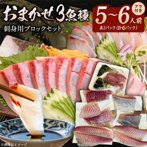 おまかせ3魚種×２P刺身用ブロックセットアラ付き N015-YB338