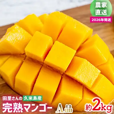 マンゴー【2026年発送】農家直送！田里さんの久米島産完熟マンゴー A品 約2kg フルーツ 果物