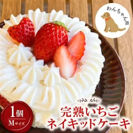 【2026年発送】愛犬用 完熟いちごネイキッドケーキ Mサイズ 1個_ ペット用品  _【配送不可地域：離島】【1591177】