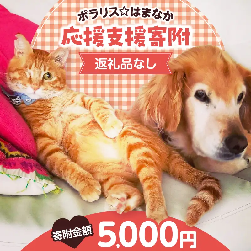【動物愛護ボランティア】浜中町「ポラリス☆はまなか」を支援　5000円分 返礼品なし_H0048-005