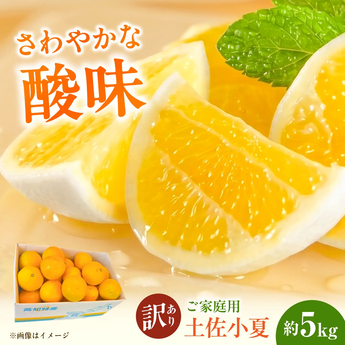 【先行予約】＜白木果樹園＞ 土佐小夏 訳ありご家庭用 約5kg〈2026年5月下旬?6月下旬頃発送〉  / 5キロ こなつ 柑橘 かんきつ 柑橘類 フルーツ 日向夏 ニューサマーオレンジ 西内小夏 果物 くだもの【白木果樹園】 [BQAI034]