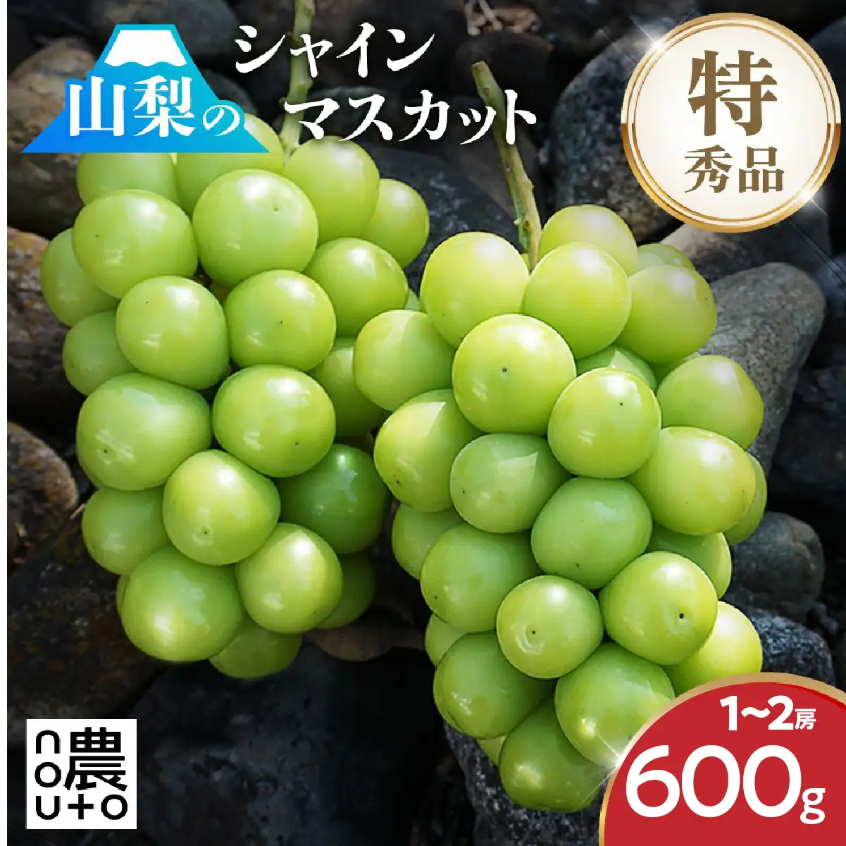 【2026年発送★先行予約】シャインマスカット 600g　※クール便　154-008-600g -26y