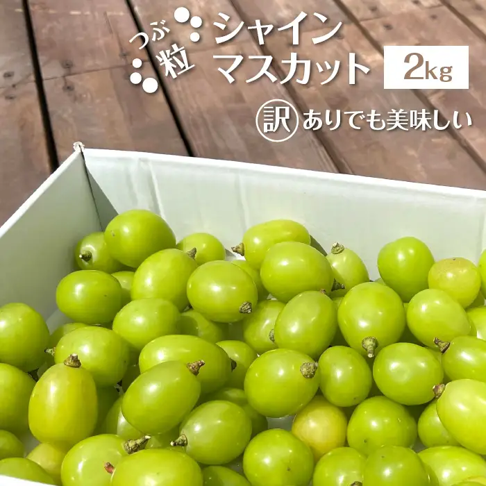 【2026年発送★先行予約】【訳あり】 シャインマスカット 粒 2kg以上 ※クール便　154-033-2kg-26y