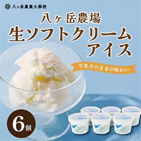 八ヶ岳農場 生ソフトクリームアイス 6個_菓子・スイーツ アイス・ジェラート  _【配送不可地域：離島】【1586194】