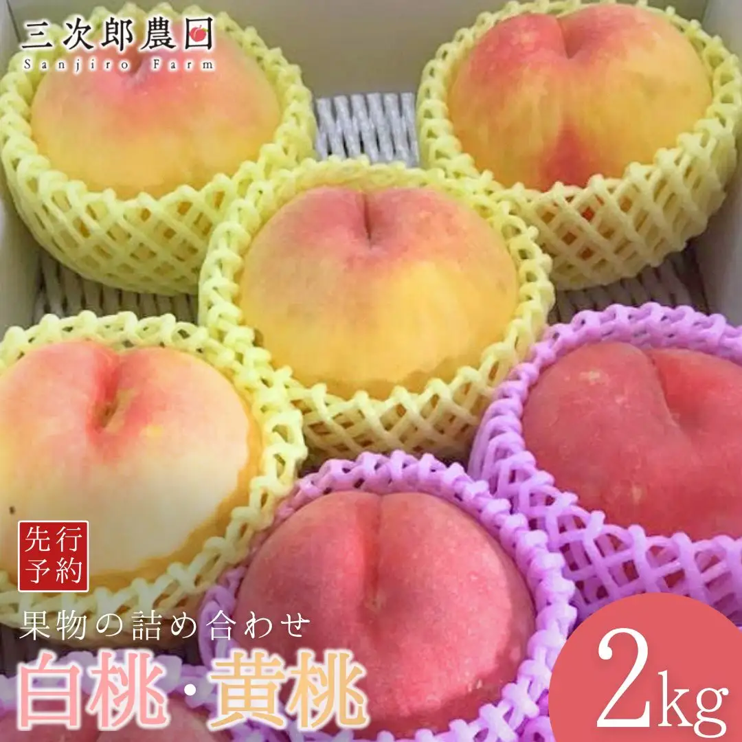 先行予約 白桃・黄桃詰合せ 約2kg(各3玉 計6玉入り) 令和8年度 贈答用桃 新潟県三条市産 桃 三次郎農園