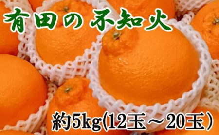 【先行予約】【濃厚】和歌山県有田産 不知火 約5kg（12玉～20玉）