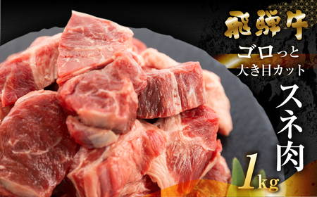 飛騨牛 煮込み用 スネ肉切り落とし 1kg（500g×2）【39-40】
