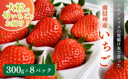 南信州産「いちご」 (300g×8パック)　【ヨッシャア駒ヶ根】 果物類 苺 イチゴ