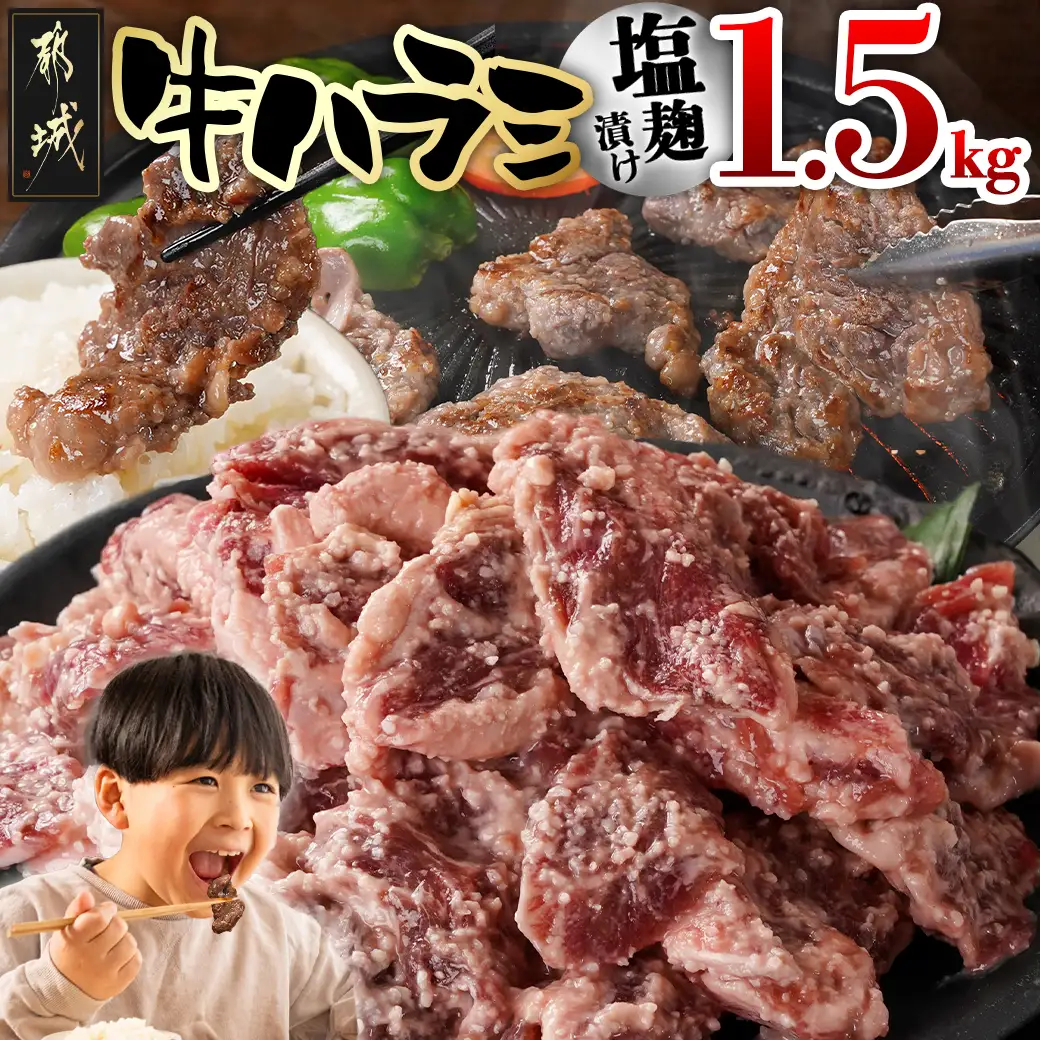 牛ハラミ 塩麹タレ漬け1.5kg〔14J-33-025-1500g〕_(都城市)  味付き 牛肉 真空 小分け