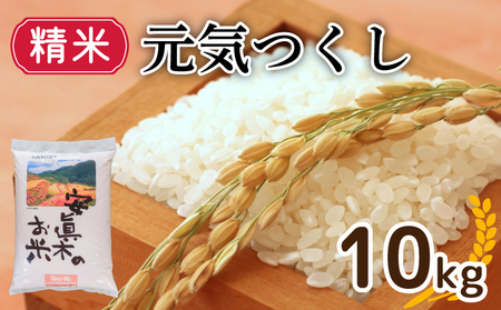 元気つくし 10kg 精米 (福岡県認定地域資源) 米 10kg 人気 ブランド米 福岡県産米 産地直送 お米 おこめ こめ ゴハン メシ 飯 夕ご飯 美味しいご飯 米 白米 ライス ごはん 防災 備蓄 福岡 川崎 DEI014_y
