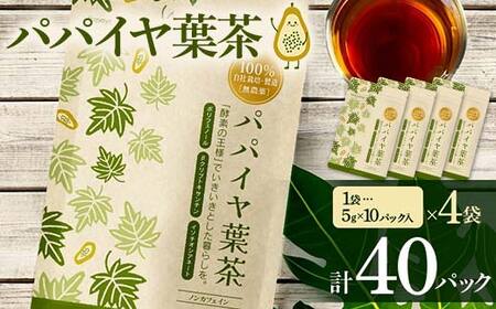 パパイヤ葉茶 （5g×10パック）4袋 F4H-0514