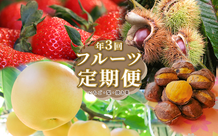 【ふるさと納税】＜フルーツ 定期便（全３回）＞ いちご 梨 焼き栗 fruit 苺 おすすめ 旬 果物 くだもの 高知県 佐川町産【冷蔵】【常温】【冷凍】
