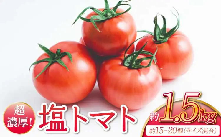 超濃厚! 宇城市産 塩トマト 約1.5kg （約15～20個サイズ混合）