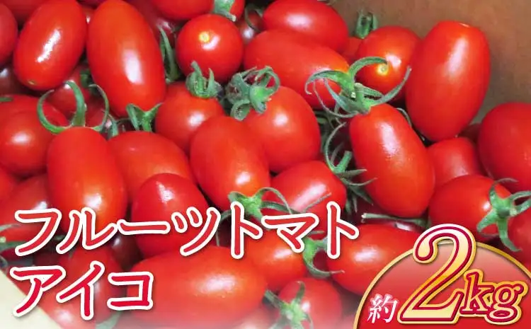 宇城市産 フルーツトマト アイコ 約2kg