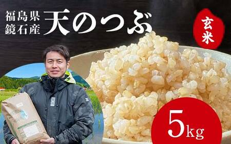 〈先行予約 2026年産米〉 福島県鏡石町産 和田農園「天のつぶ」玄米 5kg 米 コメ こめ F6Q-439