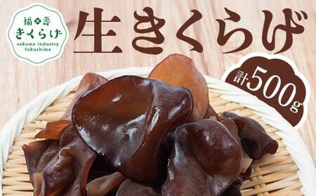福寿「生キクラゲ」500g (100g×5パック) きくらげ きのこ キノコ F6Q-108