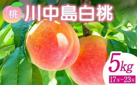 ＜先行予約＞ 福島県産 甘くてジューシー 桃 川中島 白桃 5kg（17玉～23玉） モモ フルーツ 果物 福島県 鏡石町  F6Q-357