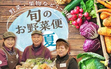 鏡石のうまいもの野菜の直送便（夏）果物 詰め合わせ つめ合わせ セット 福島県 鏡石町  F6Q-134